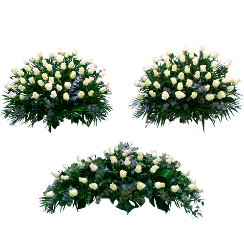 Conjunto Armonía B
